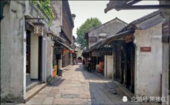 细胞分裂4